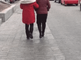 대륙의 덤앤더머 | 인스티즈