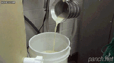 크리스피 도넛 제조 과정 | 인스티즈