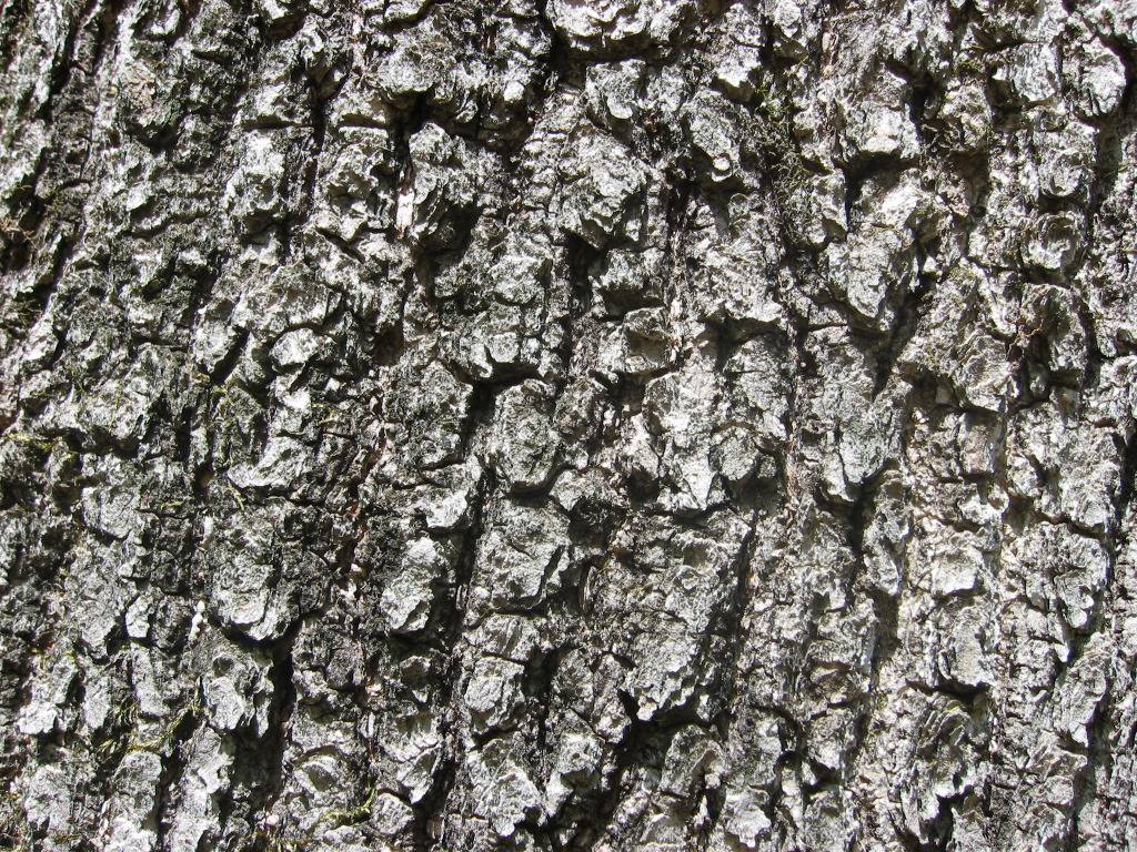 가만히 생각해보면 어떻게 알고 있는지 신기한 맛 | 인스티즈