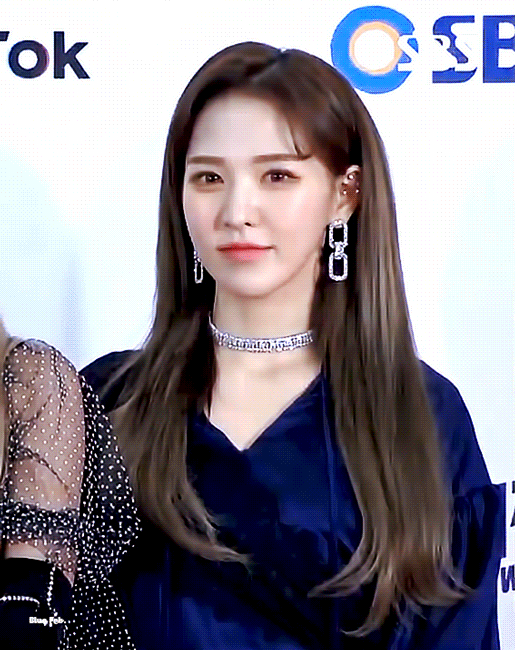 레드벨벳 최애돌.jpgif | 인스티즈