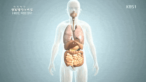 암중에 가장 무서운 암 | 인스티즈