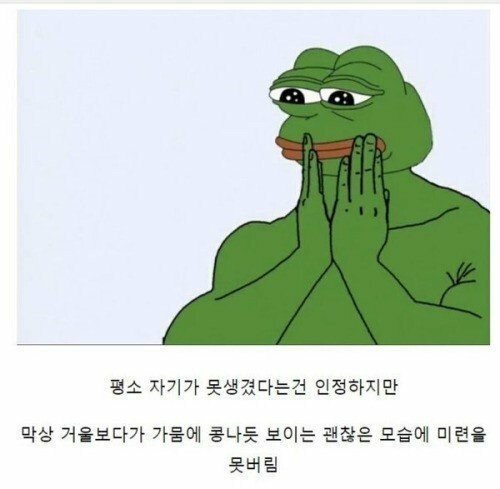 얼굴 어중간하게 못생긴 사람들 특징.jpg | 인스티즈