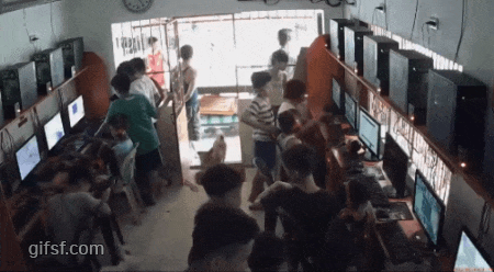 베트남 피시방 업태변경 | 인스티즈