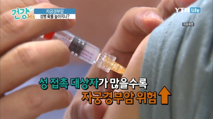 자궁경부암 위험요소.jpg | 인스티즈