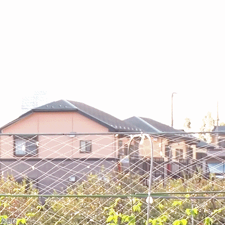 최근 타카하시 쥬리.gif | 인스티즈