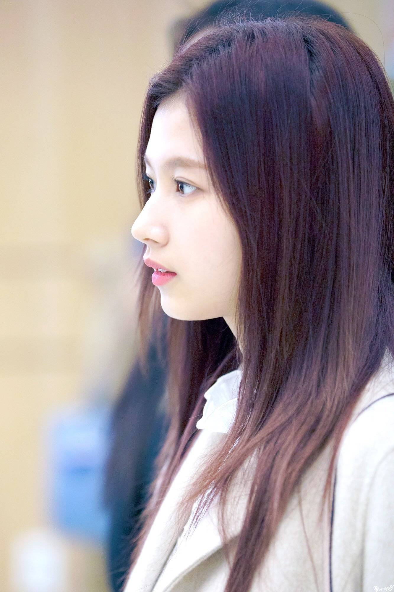 오늘 생일을 맞은 트와이스 사나.jpg | 인스티즈