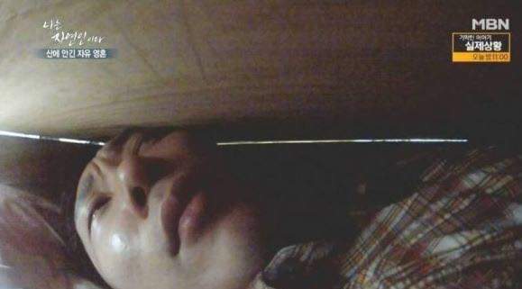 나는 자연인이다 레전드 | 인스티즈