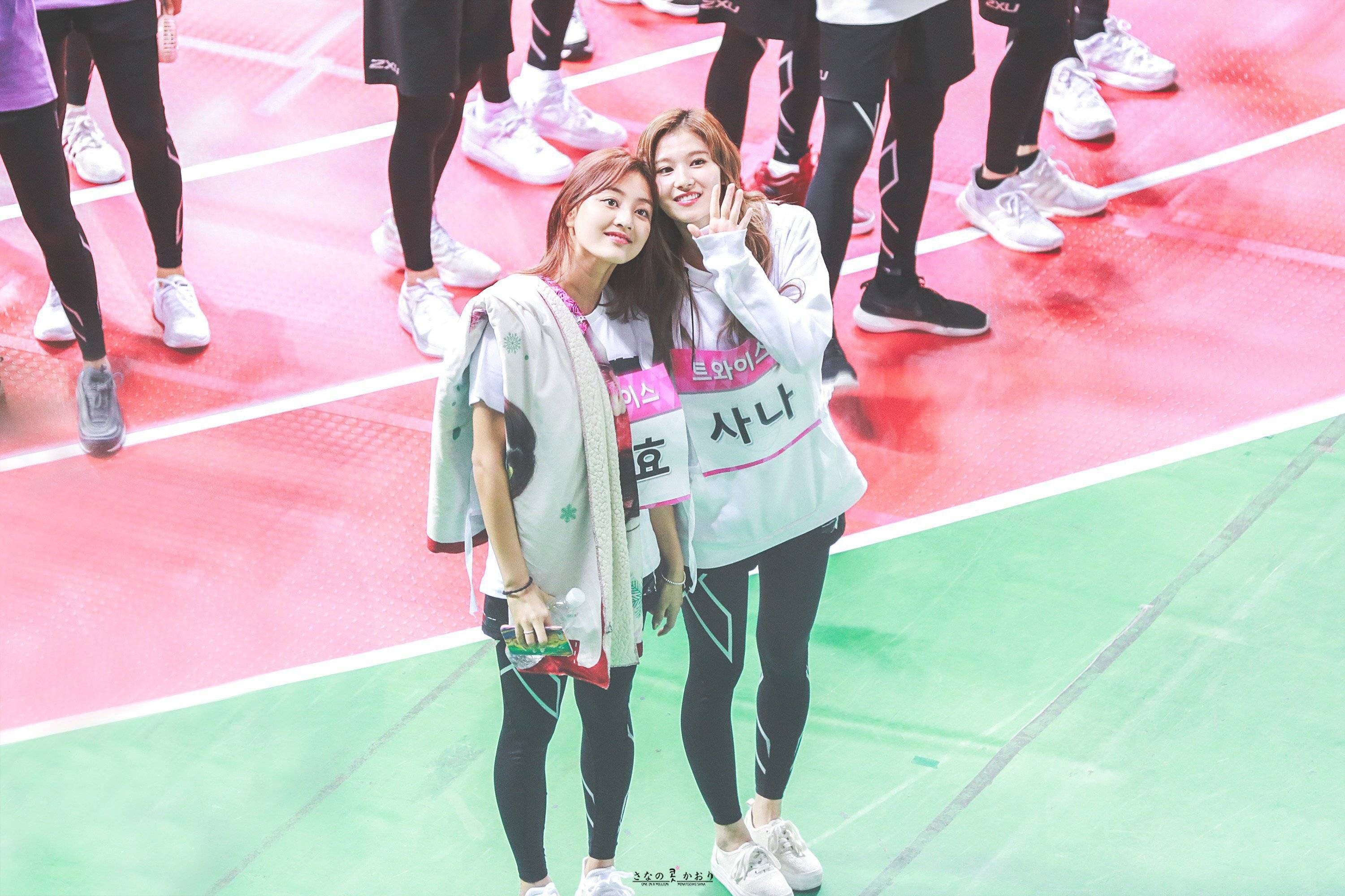 사나 좋아하시나요?.jpg | 인스티즈