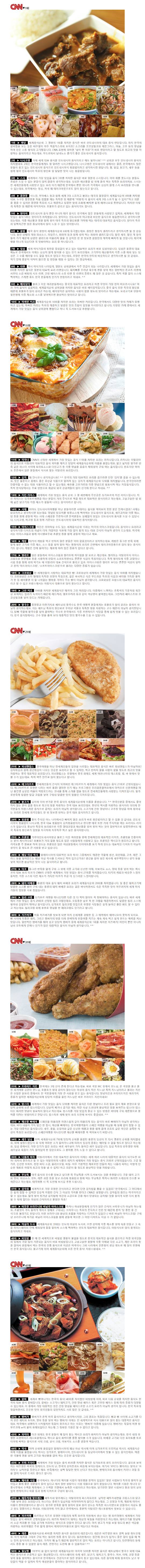 CNN 선정 세계 음식 TOP50 | 인스티즈
