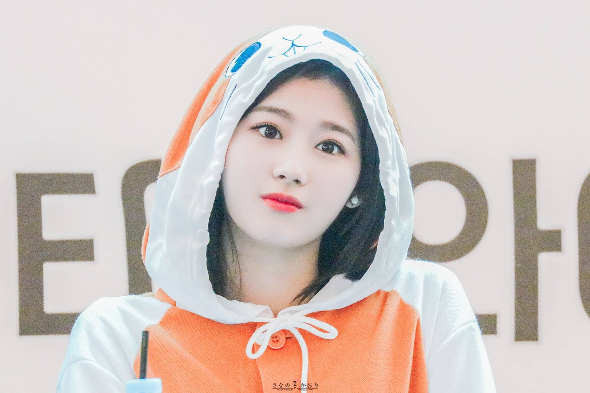 사나 좋아하시나요?.jpg | 인스티즈