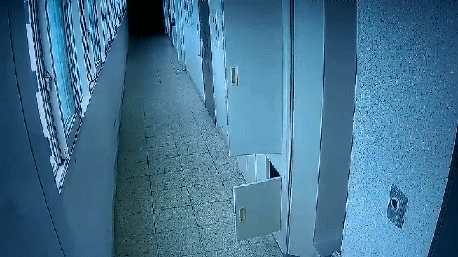 갑자기 사물이 제 멋대로 움직이는 폴터가이스트 현상 | 인스티즈