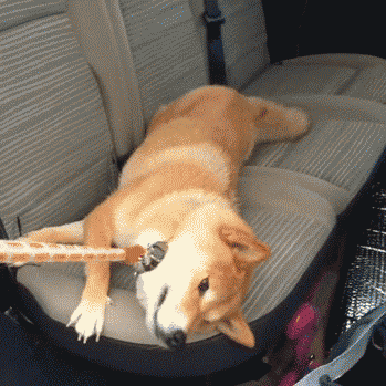 혼자 가라고 씨바.gif | 인스티즈