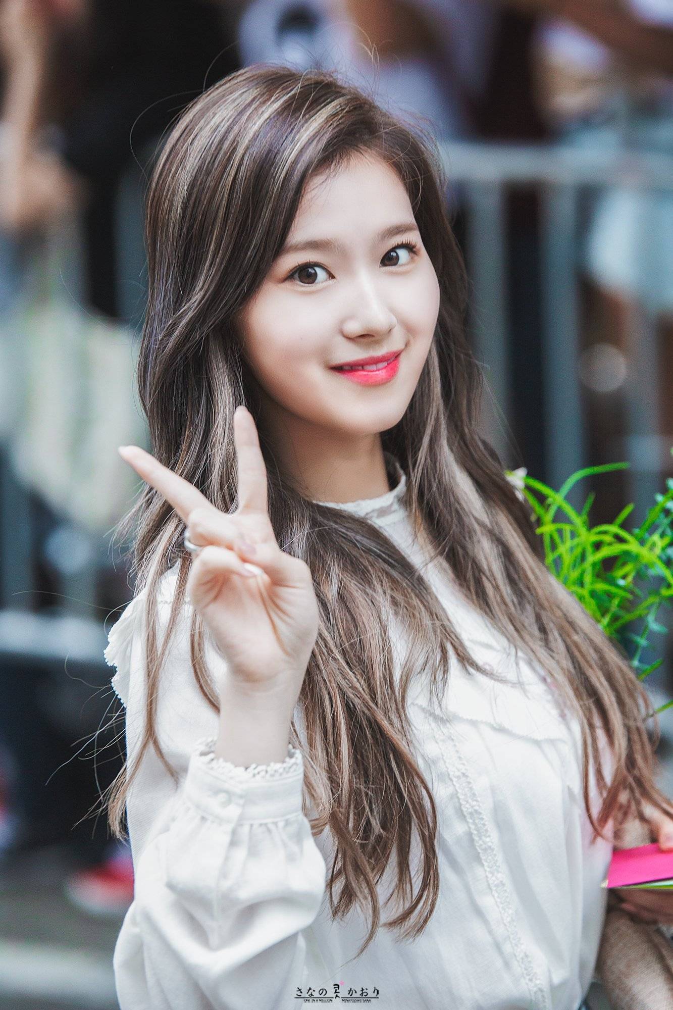 사나 좋아하시나요?.jpg | 인스티즈