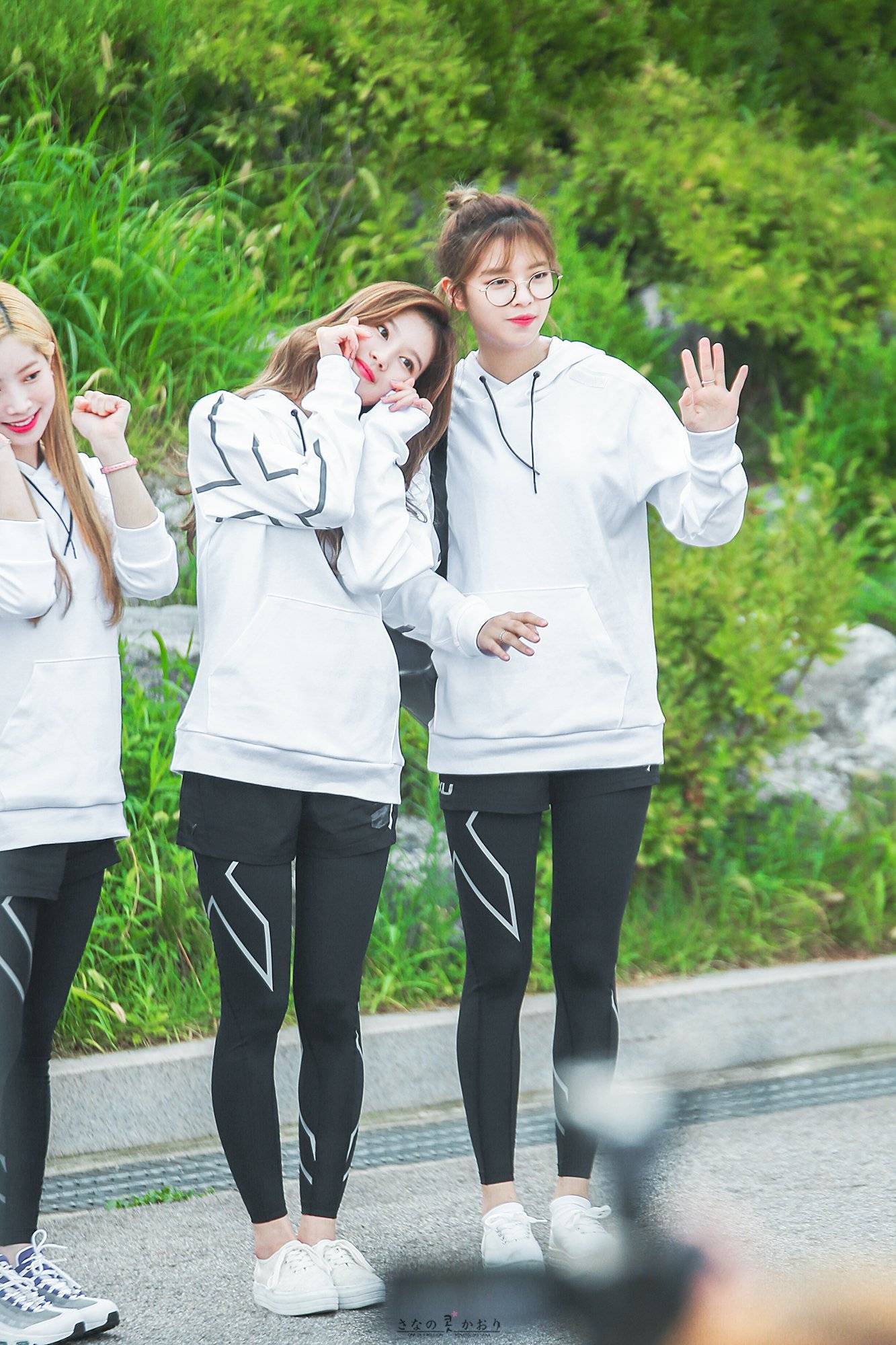 사나 좋아하시나요?.jpg | 인스티즈