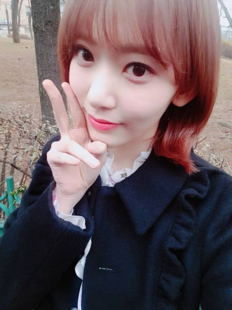 아이즈원) 오늘의 앚트윗 강라인 예정 사쿠라 | 인스티즈