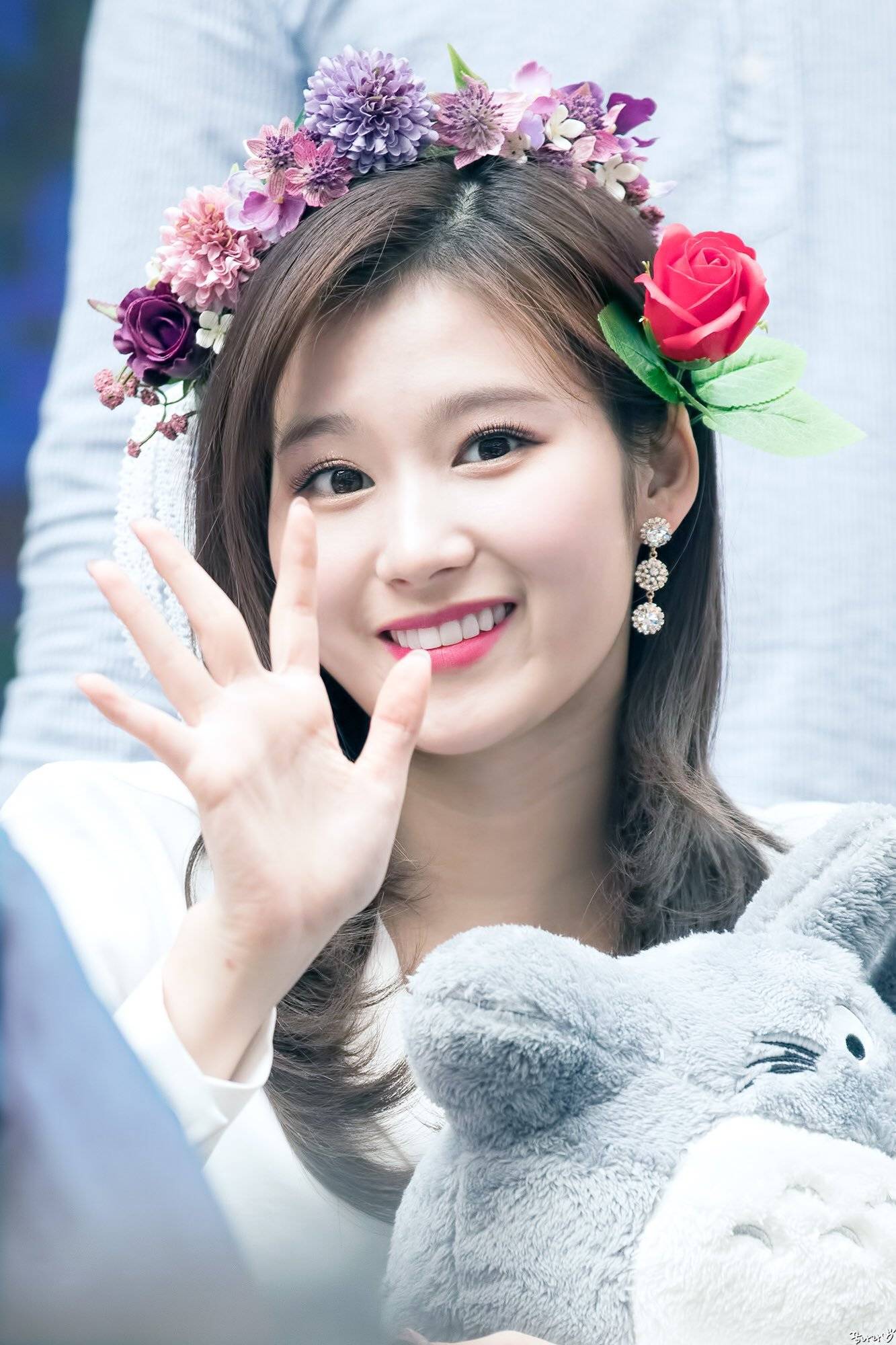 오늘이 생일인 트와이스 사나.jpgif | 인스티즈