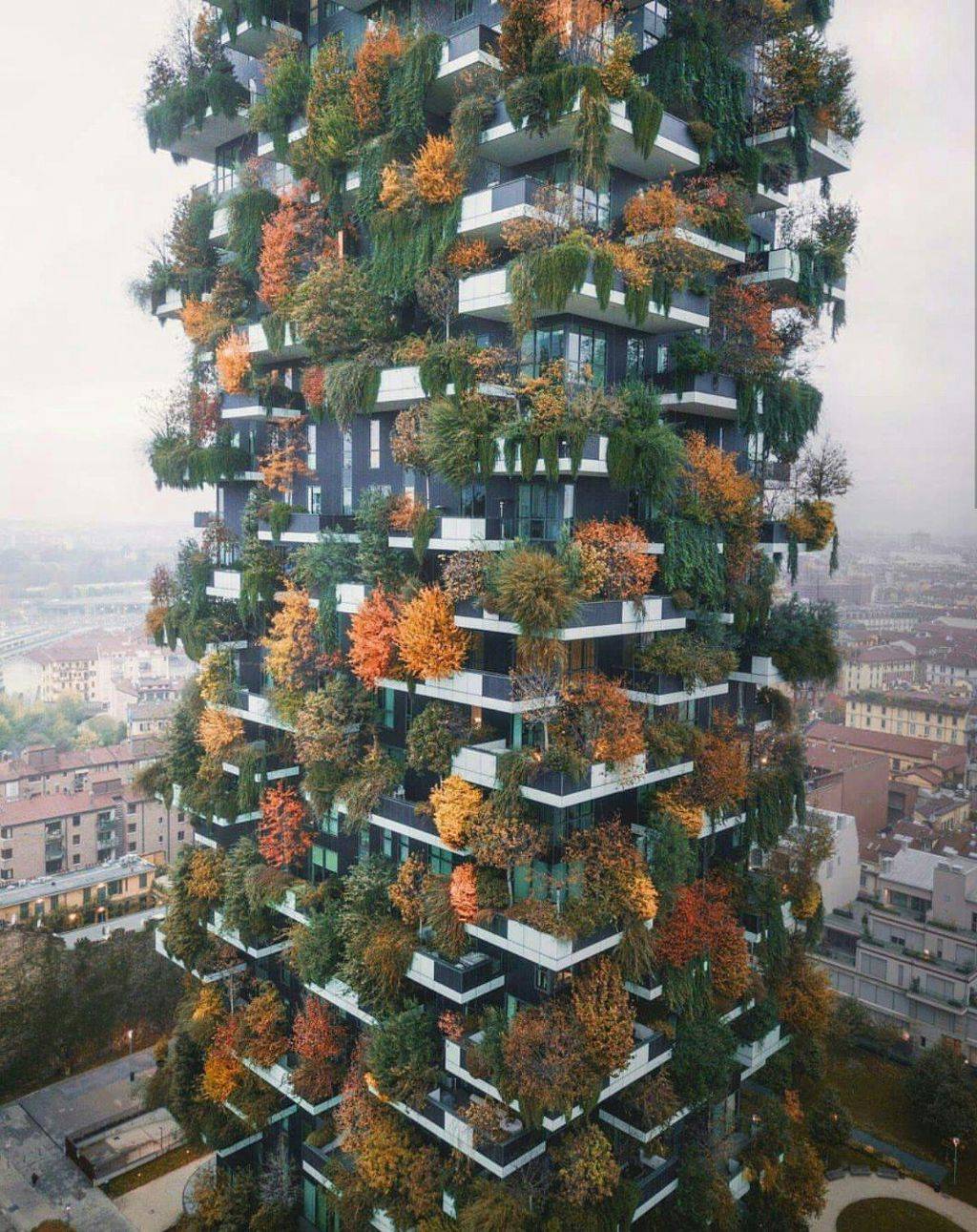 유럽 레알 숲 같이 건축해놓은 아파트들 | 인스티즈