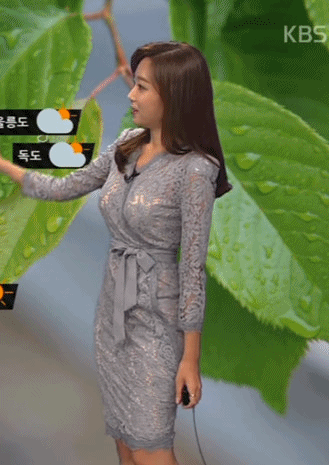 기상캐스터 이세라 몸매 움짤.gif | 인스티즈