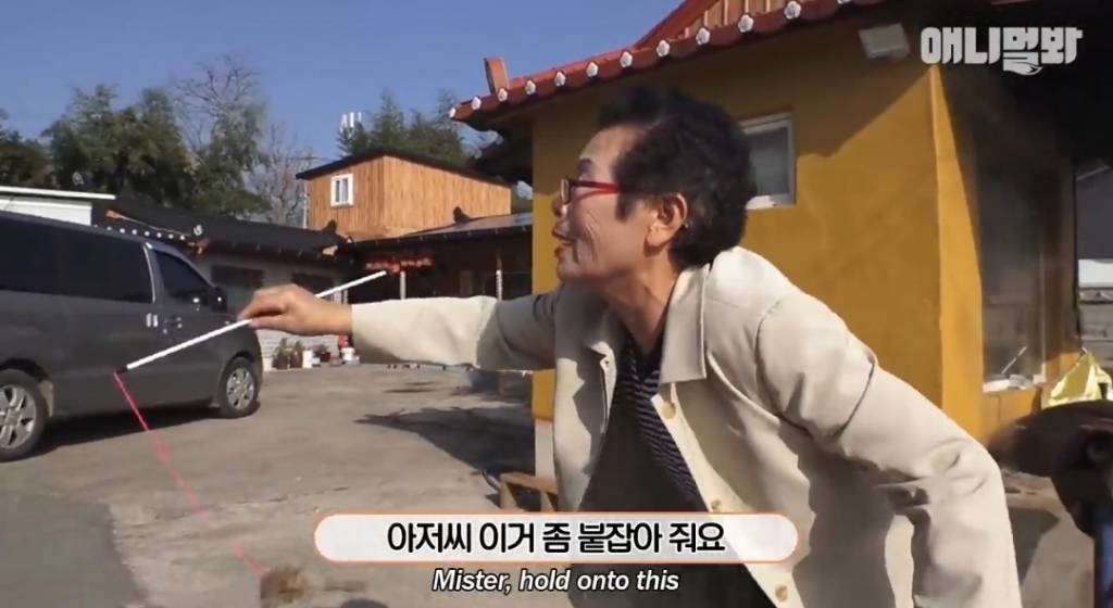 [동물농장] 심심한 댕댕이랑 놀아주는 동농 제작진ㅋㅋㅋ | 인스티즈