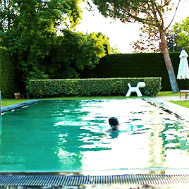 [canyaman] 터키에서 최고의 인기를 달리는 있는 변호사 출신 배우(동생이지만 오빠라고 부르싶긔~♥) | 인스티즈