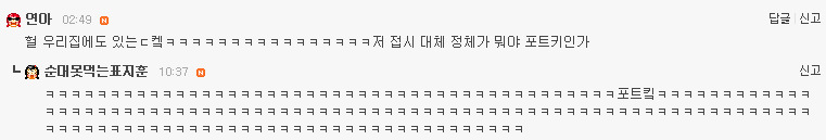 열에아홉은 집에있다는 국민그릇 여시들도 확인해봐 | 인스티즈