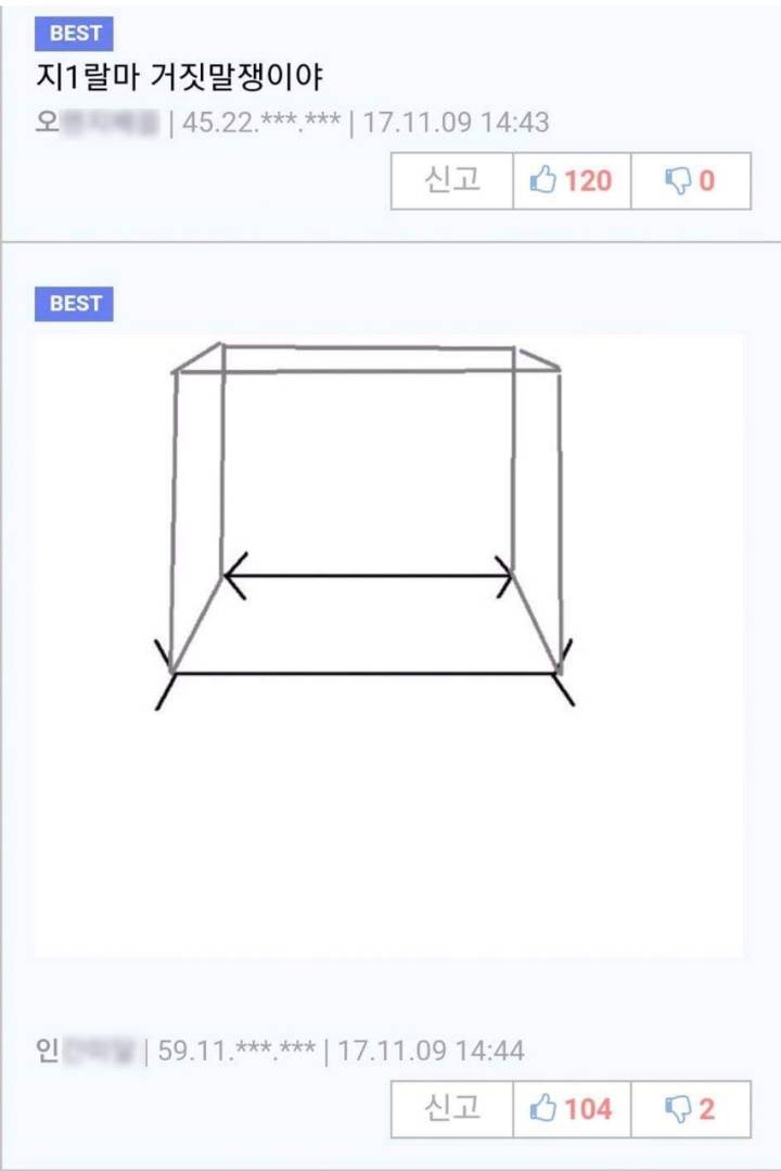 신비한 착시의 세계 | 인스티즈