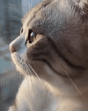 ㅎ ㅏ 먹고 살기 힘드네... | 인스티즈