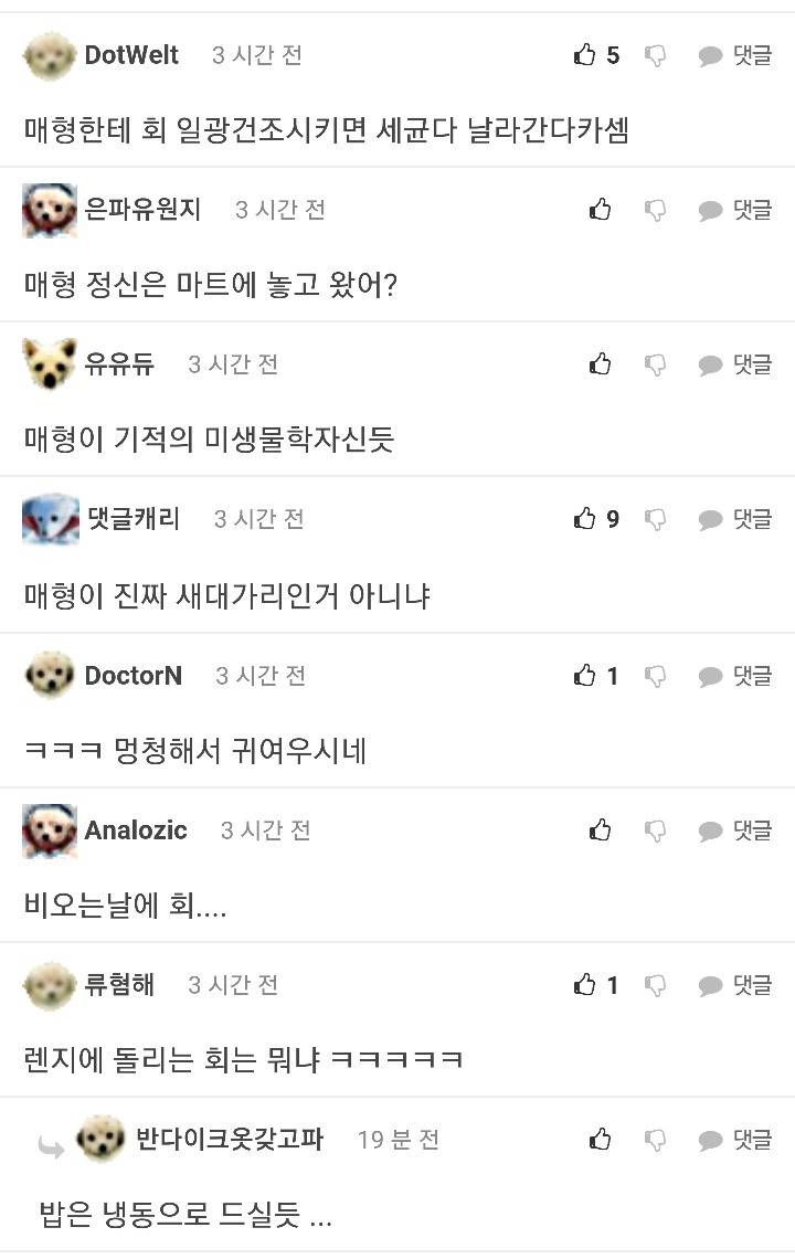 매형이 회를 사왔는데 | 인스티즈