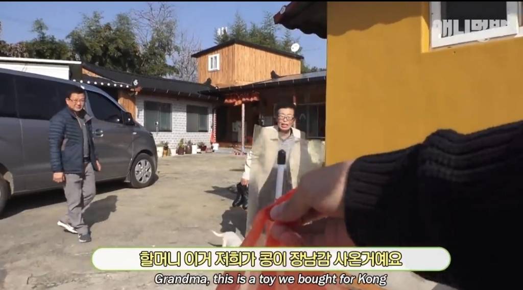 [동물농장] 심심한 댕댕이랑 놀아주는 동농 제작진ㅋㅋㅋ | 인스티즈