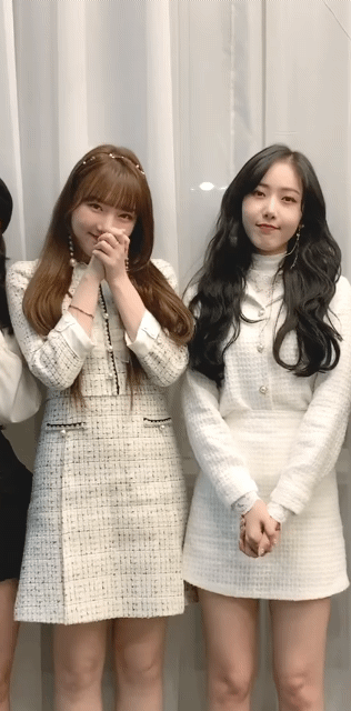 여자친구 공식 팬카페 10만 버디 축하짤.gif | 인스티즈