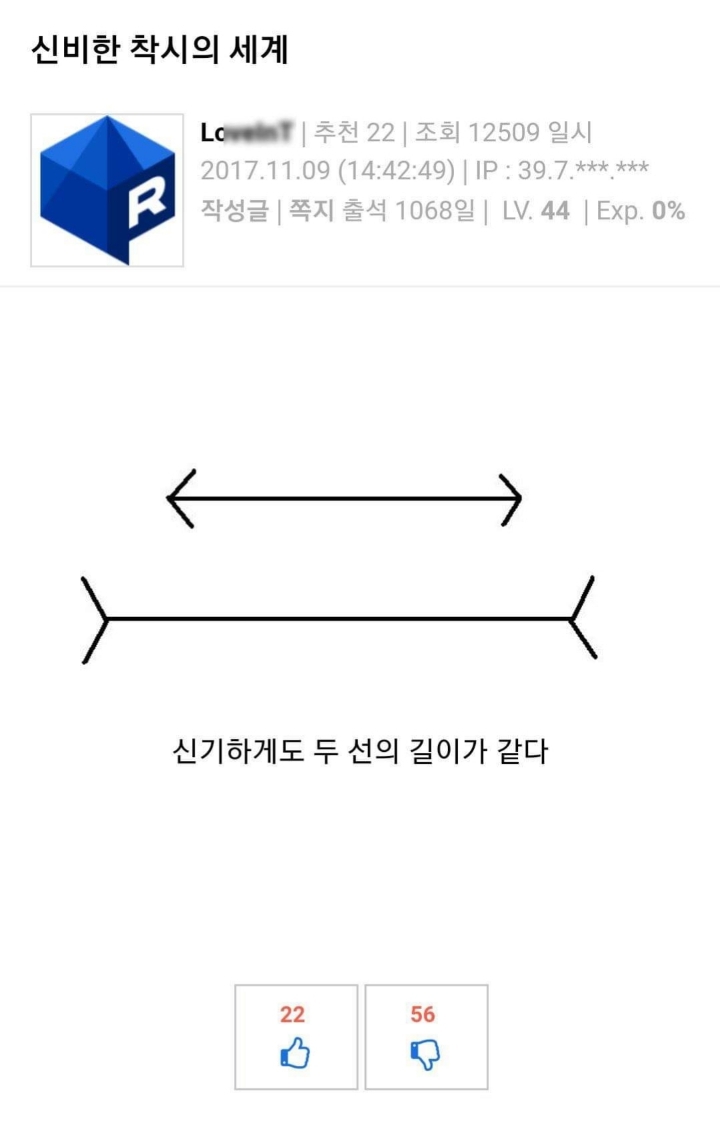 신비한 착시의 세계 | 인스티즈
