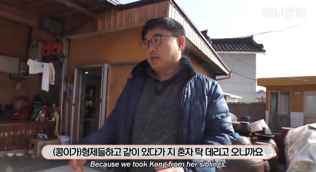 [동물농장] 심심한 댕댕이랑 놀아주는 동농 제작진ㅋㅋㅋ | 인스티즈