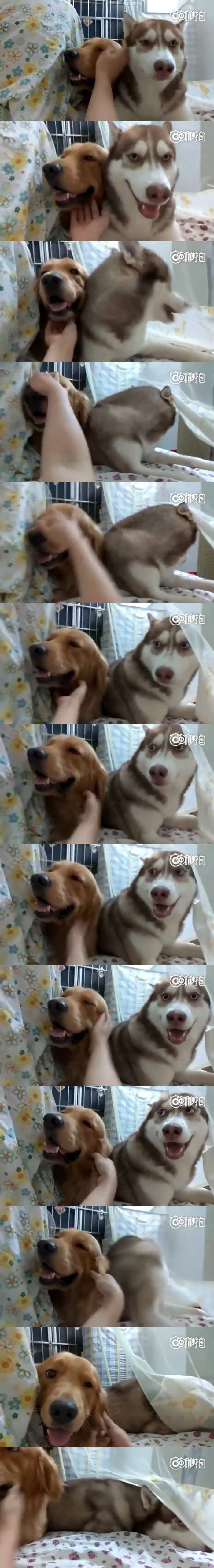 친구만 이뻐해주니 삐짐.jpg | 인스티즈