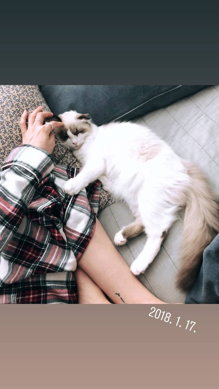 소진 인스타 스토리 | 인스티즈