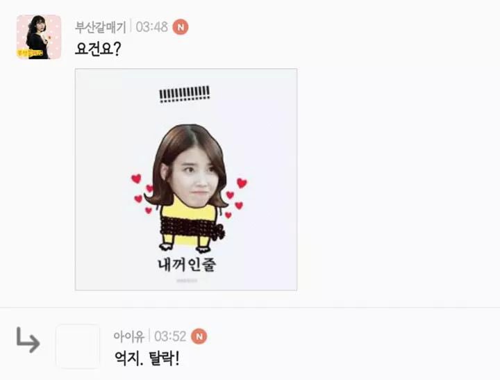 팬이랑 소통하는 아이유.JPG | 인스티즈