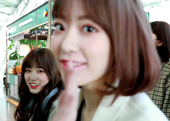 [아이즈원] 사쿠라 사쿠라 사쿠라 사쿠라 사쿠라 | 인스티즈