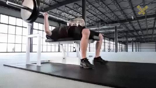 헬스장 안전장치.gif | 인스티즈