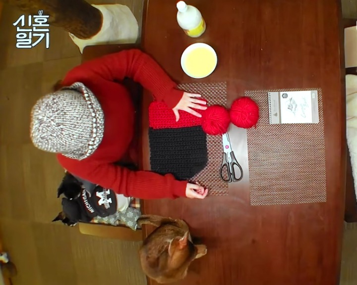 [신혼일기] 1박2일만에 만나는 구혜선과 안재현 | 인스티즈