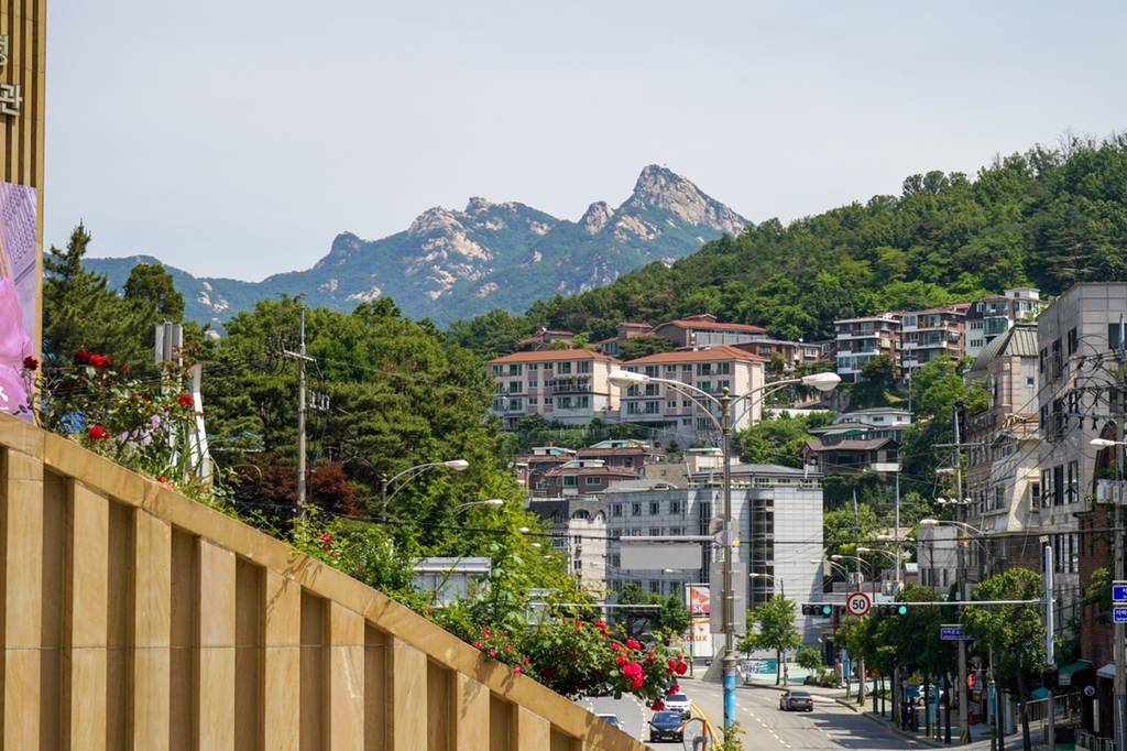 2018년 찍었던 사진 중 맘에 드는 것들 | 인스티즈