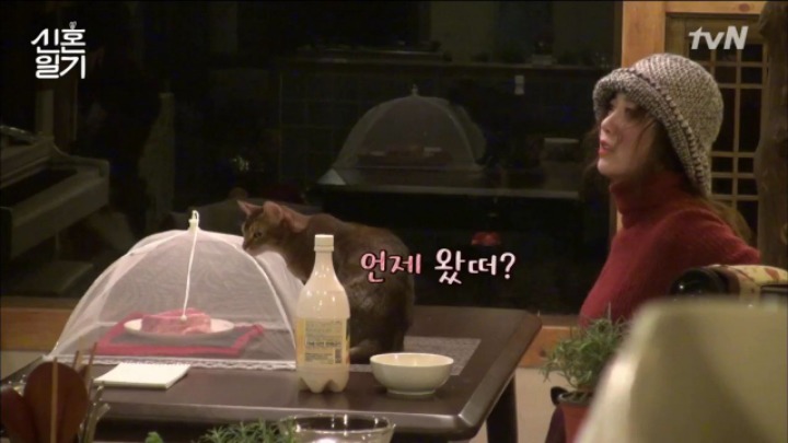 [신혼일기] 1박2일만에 만나는 구혜선과 안재현 | 인스티즈