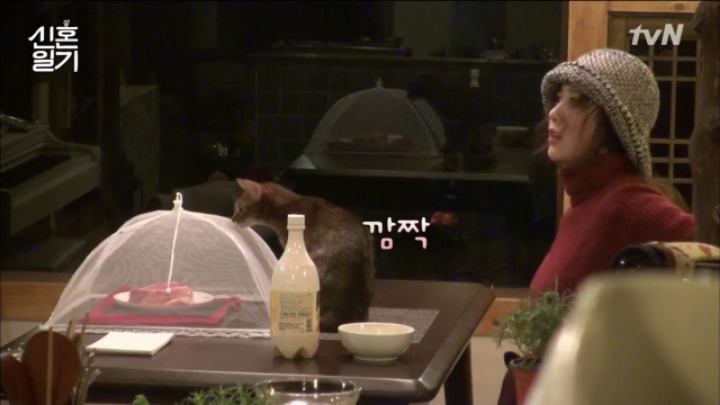 [신혼일기] 1박2일만에 만나는 구혜선과 안재현 | 인스티즈