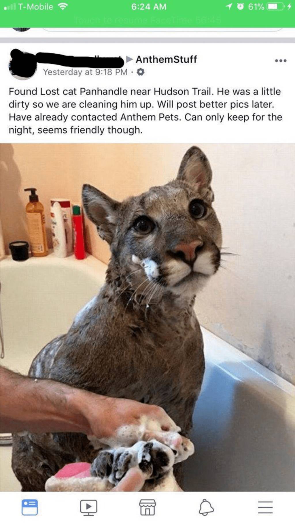 차 아래에서 냥줍 | 인스티즈