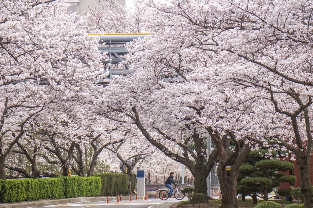 2018년 찍었던 사진 중 맘에 드는 것들 | 인스티즈
