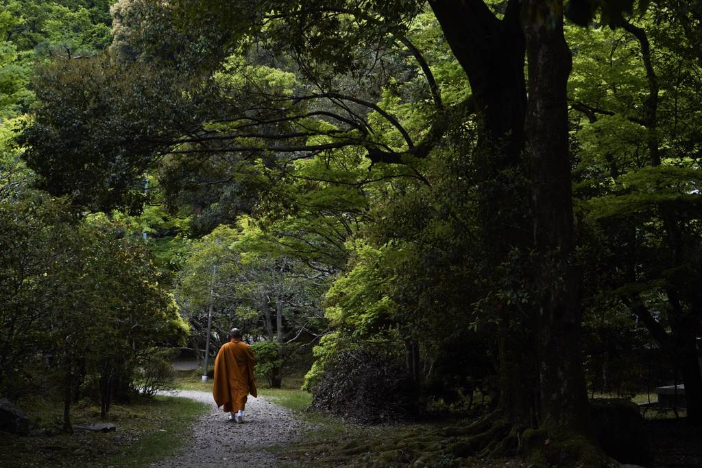 2018년 찍었던 사진 중 맘에 드는 것들 | 인스티즈