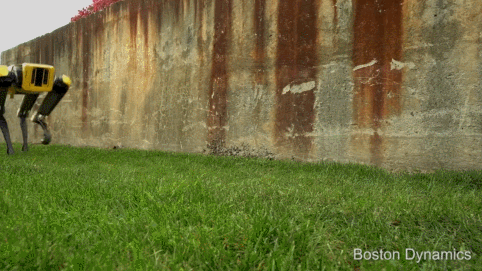 점점 진화하는 사족 로봇 gif | 인스티즈