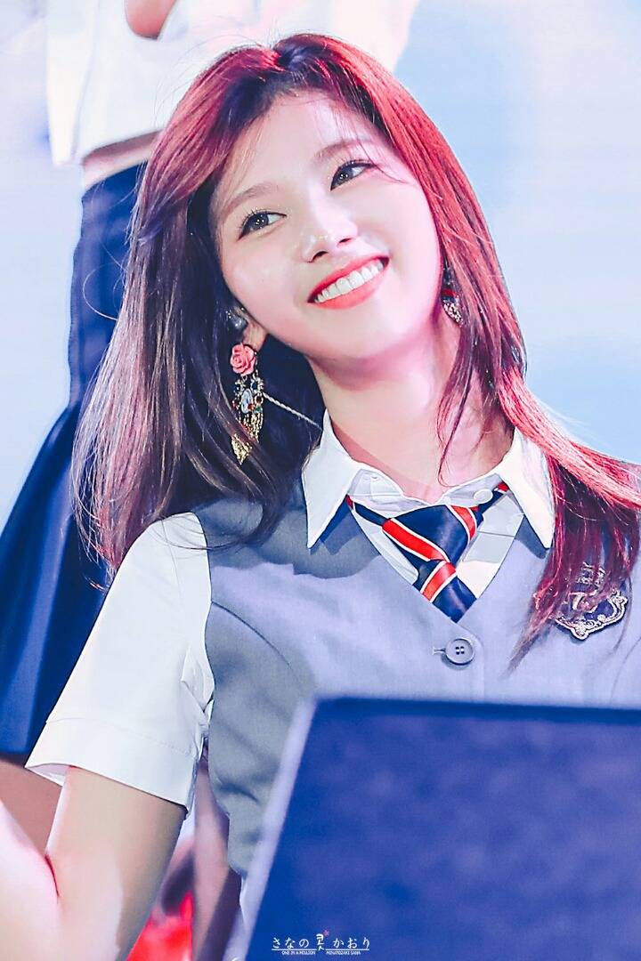 혹시 사나는 좋아하세요? | 인스티즈