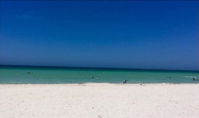 문 이다 vs 바다 다 | 인스티즈