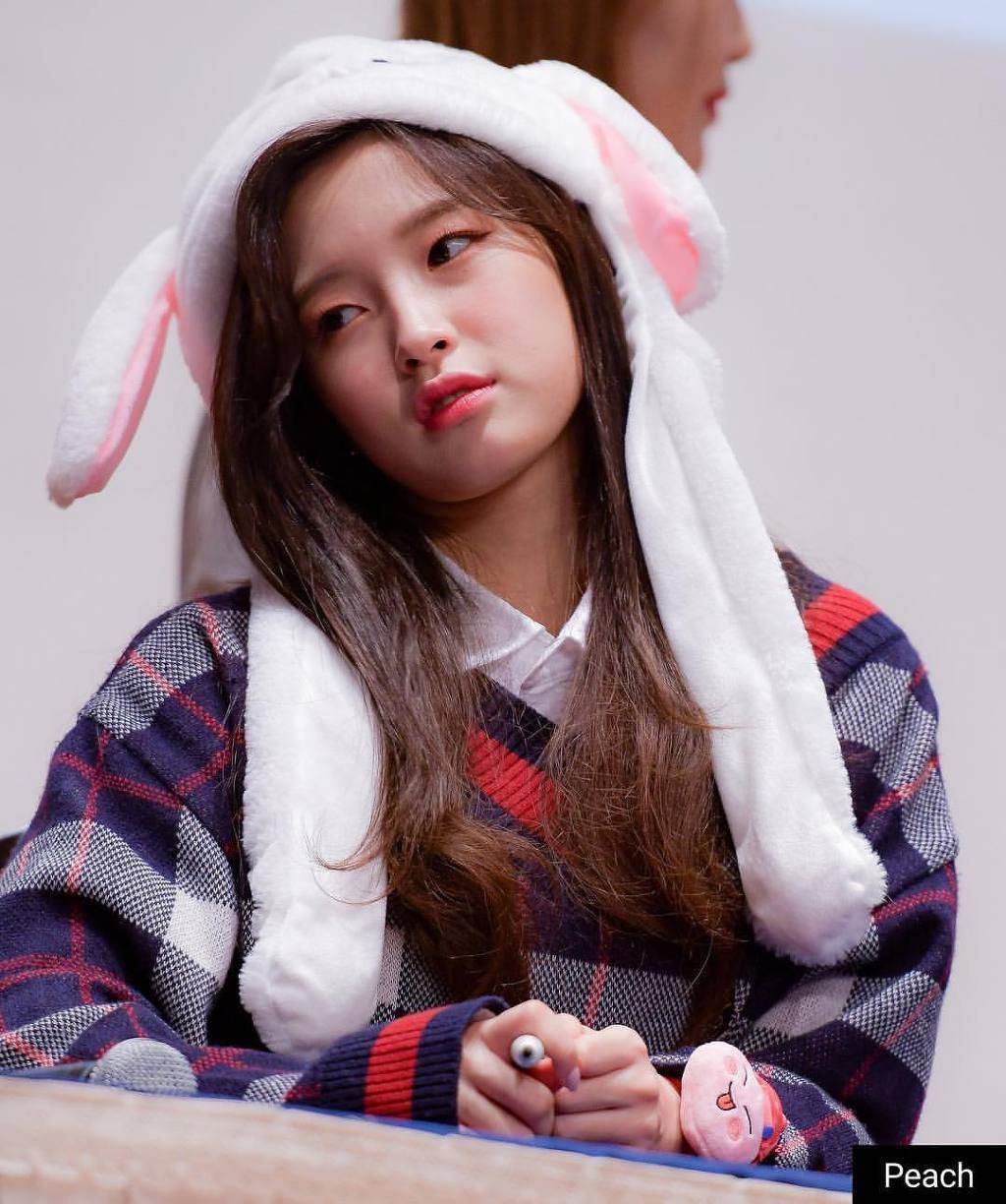 포니테일 아린이 (데이터 주의) | 인스티즈