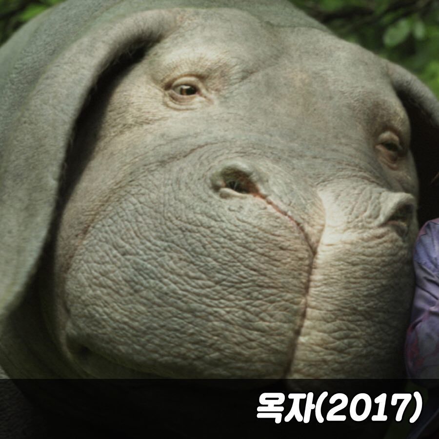 2019년 새해 볼만한 영화 추천 | 인스티즈