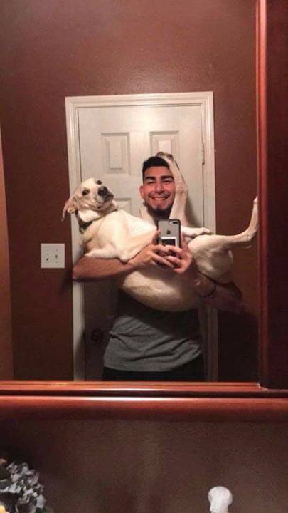 댕댕이의 1년 성장기.jpg | 인스티즈